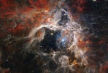 Tarantula Nebula