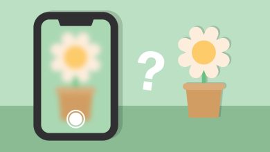 التقاط صورة حادة