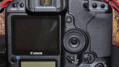 التركيز بالزر الخلفي Back Button Focus: الإعداد الذي يغيّر طريقة تصويرك 6 التركيز بالزر الخلفي