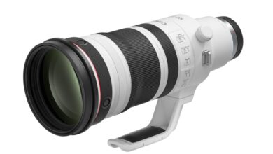 Canon RF 100-300mm