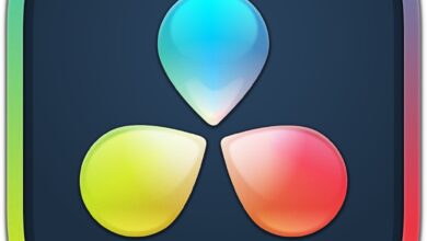 DaVinci Resolve 21
