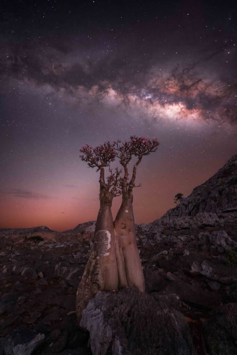 صورة فائزة في مصور درب التبانة Milky Way Photographer of the Year 2024