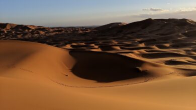 كيف تحمي كاميرتك من حرارة الصيف وغبار الصحراء: دليل للمصور العربي 6 حماية الكاميرا من الحرارة