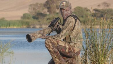 تصوير هجرة الطيور في الربيع: الإعدادات والمعدات وأفضل الأماكن في العالم العربي 6 تصوير هجرة الطيور