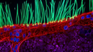 thumbnail-nikon-small-world-comp